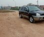 Hyundai Santa Fe Gold 2.0 AT 2003 - Cần bán xe Hyundai Santa Fe Gold 2.0 AT năm sản xuất 2003, màu đen, xe nhập  