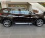 BMW X1 2019 - Bán ô tô BMW X1 năm sản xuất 2019, màu nâu, nhập khẩu nguyên chiếc