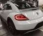 Volkswagen Beetle 2017 - Bán Volkswagen Beetle model 2018 - Khuyến mãi lớn - Hot