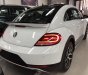 Volkswagen Beetle 2017 - Bán Volkswagen Beetle model 2018 - Khuyến mãi lớn - Hot