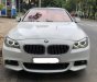 BMW 5 Series 528i 2010 - Bán BMW 5 Series 528i đời 2010, màu trắng, nhập khẩu nguyên chiếc, 980tr