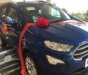 Ford EcoSport Trend 2019 - Bán Ford EcoSport Trend năm sản xuất 2019, màu xanh lam giá cạnh tranh
