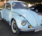 Volkswagen Beetle 1968 - Bán Volkswagen Beetle đời 1968, xe nhập chính chủ