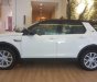 LandRover Discovery Sport HSE 2018 - Bán Discovery Sport HSE - Chương trình tháng 4 với ưu đãi lớn 200 triệu đồng