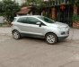 Ford EcoSport   2014 - Bán Ford EcoSport năm 2014, màu bạc, nhập khẩu  