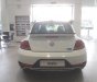 Volkswagen Beetle 2018 - Xe hơi thể thao Volkswagen - Beetle