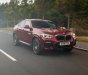 BMW X4 x20i 2019 - Bán ô tô BMW X4 x20i đời 2019, màu đỏ, nhập khẩu nguyên chiếc
