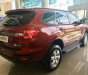 Ford Everest Ambiente 2.0 4x2 AT 2019 - Cần bán xe Ford Everest Ambiente 2.0 4x2 AT đời 2019, màu đỏ, nhập khẩu