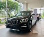 BMW X1 sDrive18i 2018 - Cần bán xe BMW X1 sDrive18i sản xuất năm 2018, màu nâu, xe nhập