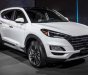 Hyundai Tucson    2019 - Bán xe Hyundai Tucson 2019, màu trắng, giá chỉ 890 triệu