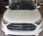 Ford EcoSport 1.0L AT Titanium 2019 - Bán xe Ford Ecosport 1.0L AT Titanium 2019