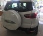 Ford EcoSport 1.0L AT Titanium 2019 - Bán xe Ford Ecosport 1.0L AT Titanium 2019