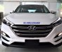 Hyundai Tucson 2.0AT 2019 - Bán Tucson 2019 – Tiêu chuẩn 760Tr – Bản full 828Tr – Trả trước từ 250Tr – Xe có sẵn