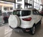 Ford EcoSport   2019 - Cần bán Ford EcoSport năm sản xuất 2019, màu trắng, 535 triệu