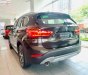 BMW X1 sDrive18i 2018 - Cần bán xe BMW X1 sDrive18i sản xuất năm 2018, màu nâu, xe nhập