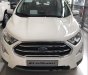 Ford EcoSport   2019 - Cần bán Ford EcoSport năm sản xuất 2019, màu trắng, 535 triệu