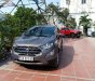 Ford EcoSport 2019 - Bán Ford EcoSport năm 2019, màu nâu