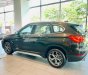 BMW X1 sDrive18i 2018 - Cần bán xe BMW X1 sDrive18i sản xuất năm 2018, màu nâu, xe nhập