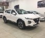 Hyundai Santa Fe 2.2L HTRAC 2019 - Bán xe Hyundai Santa Fe 2.2L HTRAC đời 2019, màu trắng