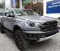 Ford Ranger Raptor  2019 - Bán Raptor 2019, giao trước 30.4, số lượng có hạn