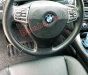 BMW 5 Series 528i 2010 - Bán BMW 528i năm sản xuất 2010, nhập khẩu