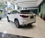 Lexus RX 350 2019 - Bán Lexus RX 350 đời 2019, màu trắng, xe nhập