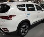 Hyundai Santa Fe Prenium 2019 - Giao ngay Hyundai Santa Fe Prenium 2019, màu trắng