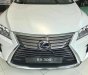 Lexus RX 300 2019 - Bán xe Lexus RX 300 sản xuất năm 2019, màu trắng, nhập khẩu