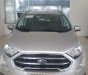Ford EcoSport 2019 - Cần bán Ford EcoSport sản xuất 2019, màu bạc