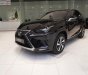 Lexus NX   300 2019 - Bán xe Lexus NX 300 sản xuất 2019, màu đen, nhập khẩu