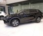 Lexus NX   300 2019 - Bán xe Lexus NX 300 sản xuất 2019, màu đen, nhập khẩu