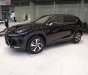 Lexus NX   300 2019 - Bán xe Lexus NX 300 sản xuất 2019, màu đen, nhập khẩu