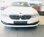 BMW 5 Series 530i Luxury Line 2018 - Bán xe BMW 5 Series 530i Luxury Line đời 2018, màu trắng, xe nhập