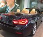 BMW 4 Series 420 Convertible 2019 - Bán xe BMW 420i Convertible mui trần mới 100%, số tự động, xe 2 cửa, 4 chỗ