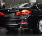 BMW 5 Series 530i 2019 - Bán BMW 5 Series 530i năm sản xuất 2019, nhập nguyên chiếc từ Đức và có sẵn để giao ngay