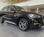 BMW X1 2019 - Cần bán xe BMW X1 đời 2019, màu nâu, xe nhập