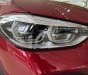 BMW X4 xDrive20i 2019 - Bán xe BMW X4 xDrive20i đời 2019, màu đỏ, nhập khẩu