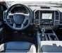 Ford F 150 Raptor 2019 - Bán Ford F 150 Raptor 2019, màu xám, xe nhập