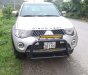 Mitsubishi Triton 2009 - Bán ô tô Mitsubishi Triton đời 2009, màu bạc, nhập khẩu, giá tốt