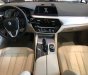 BMW 5 Series 520i G30 2018 - BMW 520i Sedan G30 All New 2019