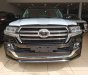 Toyota Land Cruiser MBS 2019 - Cần bán Toyota Land Cruiser MBS đời 2019, màu đen, nhập khẩu chính hãng