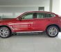 BMW X4 xDrive20i 2018 - Bán BMW X4 tại Đà Nẵng - mới chưa đăng ký