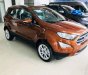 Ford EcoSport 2019 - Cần bán xe Ford EcoSport đời 2019, giá chỉ 521 triệu