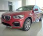 BMW X4 xDrive20i 2018 - Bán BMW X4 tại Đà Nẵng - mới chưa đăng ký