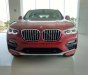 BMW X4 xDrive20i 2018 - Bán BMW X4 tại Đà Nẵng - mới chưa đăng ký