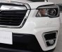 Subaru Forester 2.0i-S EyeSight 2019 - Cần bán Subaru Forester 2.0i-S EyeSight đời 2019, màu trắng, nhập khẩu