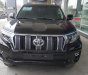 Toyota Prado 2.7 VX 2019 - Toyota Land Cruiser Prado 2019, nhập khẩu, giao ngay, hotline 0987404316 - 0355283111