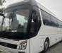 Hyundai Universe Premium 47 ghế Châu Âu 2021 - Bán xe Hyundai Universe 47 chỗ  màu trắng