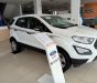 Ford EcoSport Trend 2019 - Xe giá tốt Ford Ecosport Trend AT đời 2019, đủ màu, giao ngay, xe nhập, 555 triệu, trả góp 80%, 0799 526 689