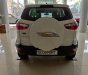 Ford EcoSport Trend 2019 - Xe giá tốt Ford Ecosport Trend AT đời 2019, đủ màu, giao ngay, xe nhập, 555 triệu, trả góp 80%, 0799 526 689